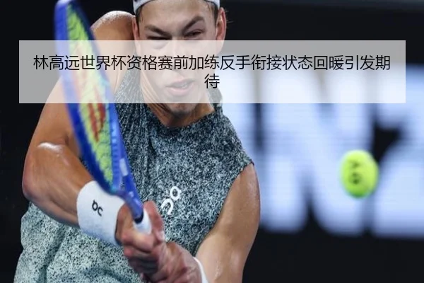 林高远世界杯资格赛前加练反手衔接状态回暖引发期待